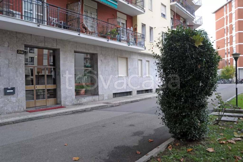 immagine annuncio 10 di 15