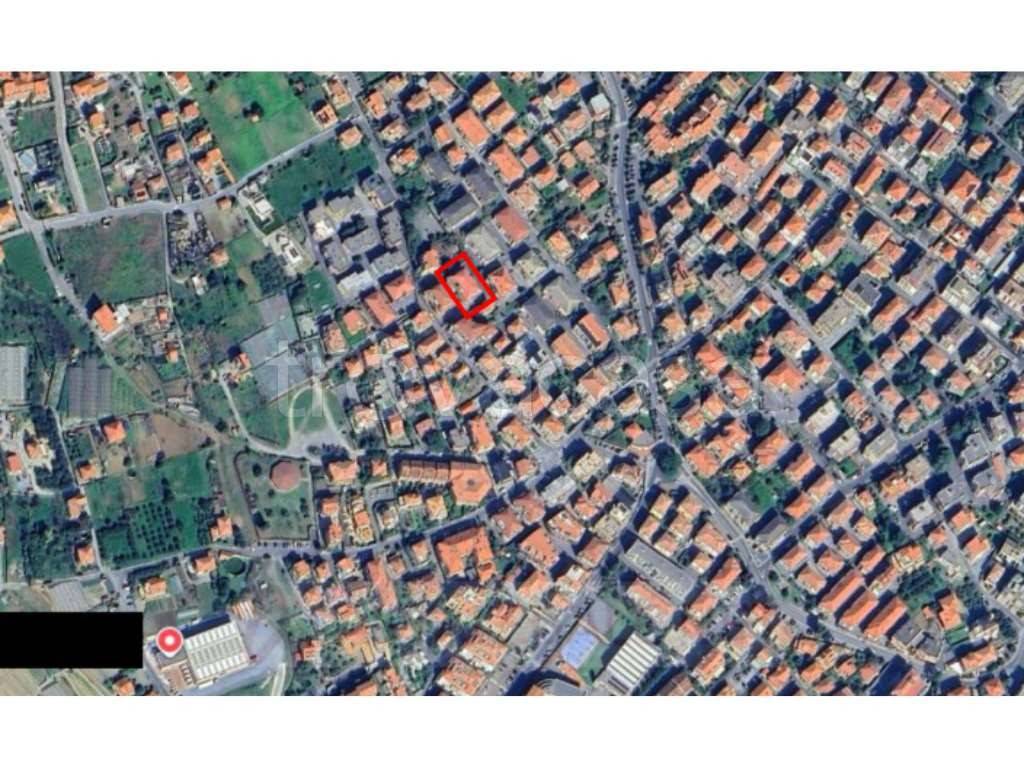 immagine annuncio 10 di 12