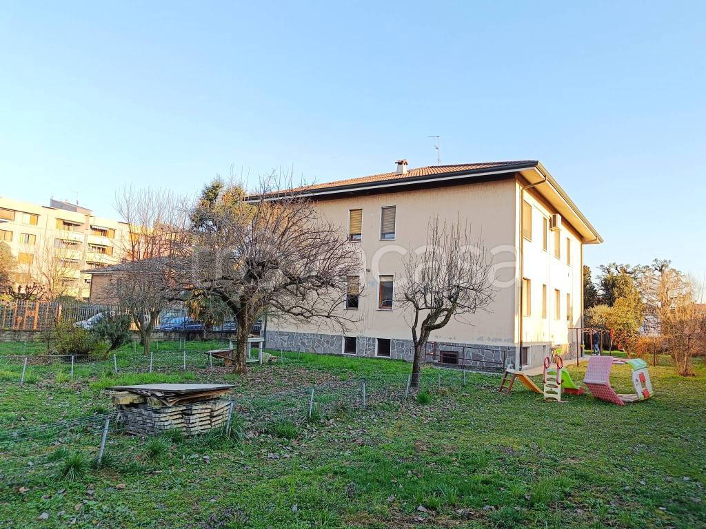 immagine annuncio 3 di 15