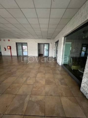 immagine annuncio 2 di 7