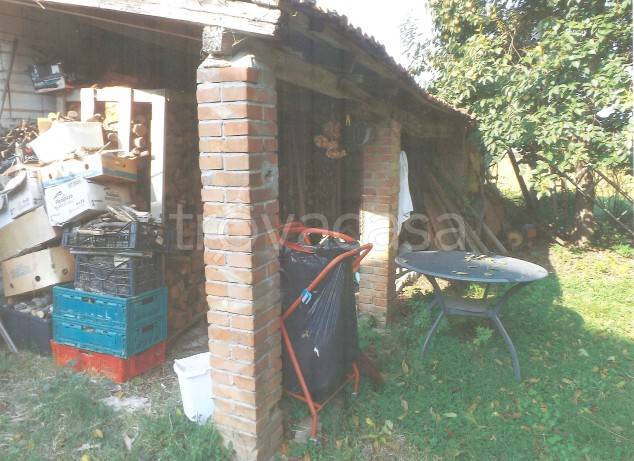 immagine annuncio 3 di 12