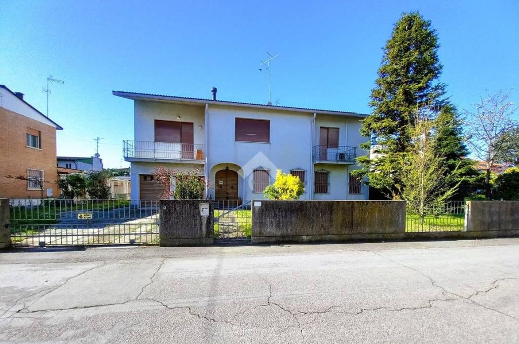 immagine annuncio 4 di 8