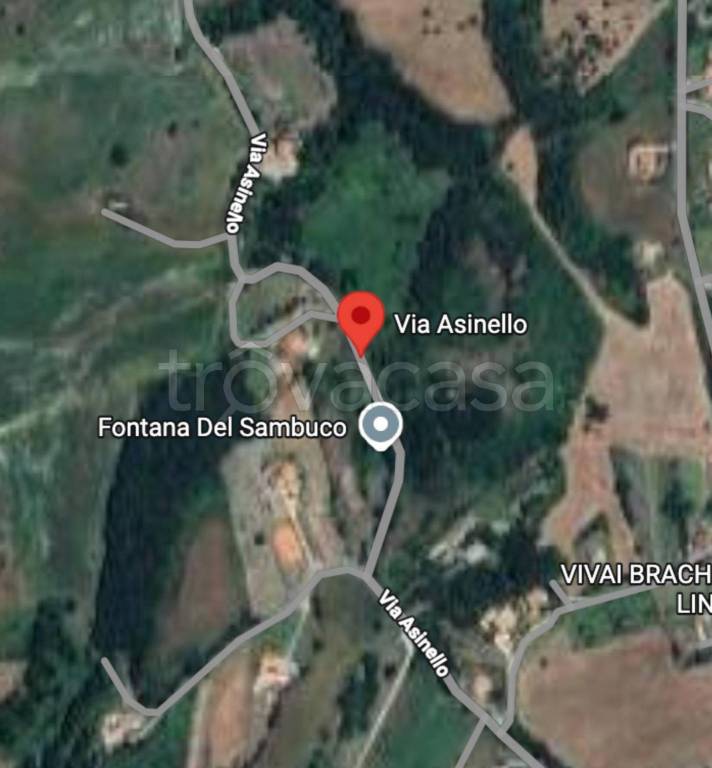 immagine annuncio 4 di 10