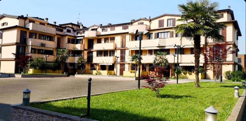 immagine annuncio 5 di 6