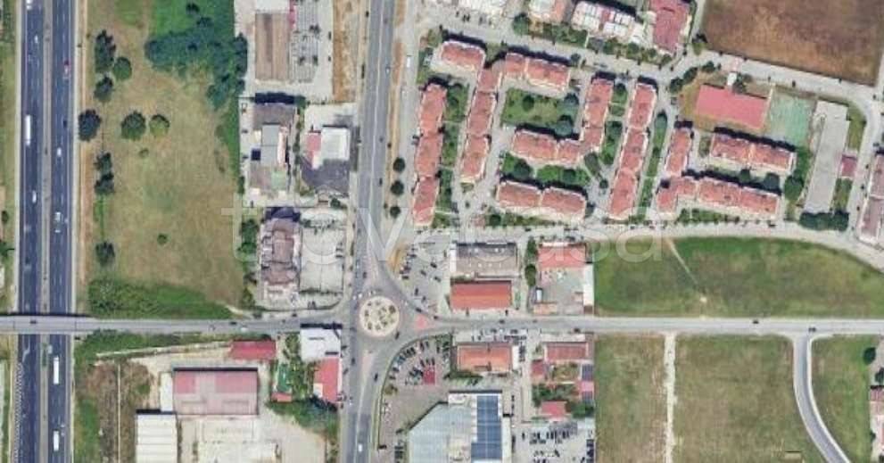 immagine annuncio 9 di 12