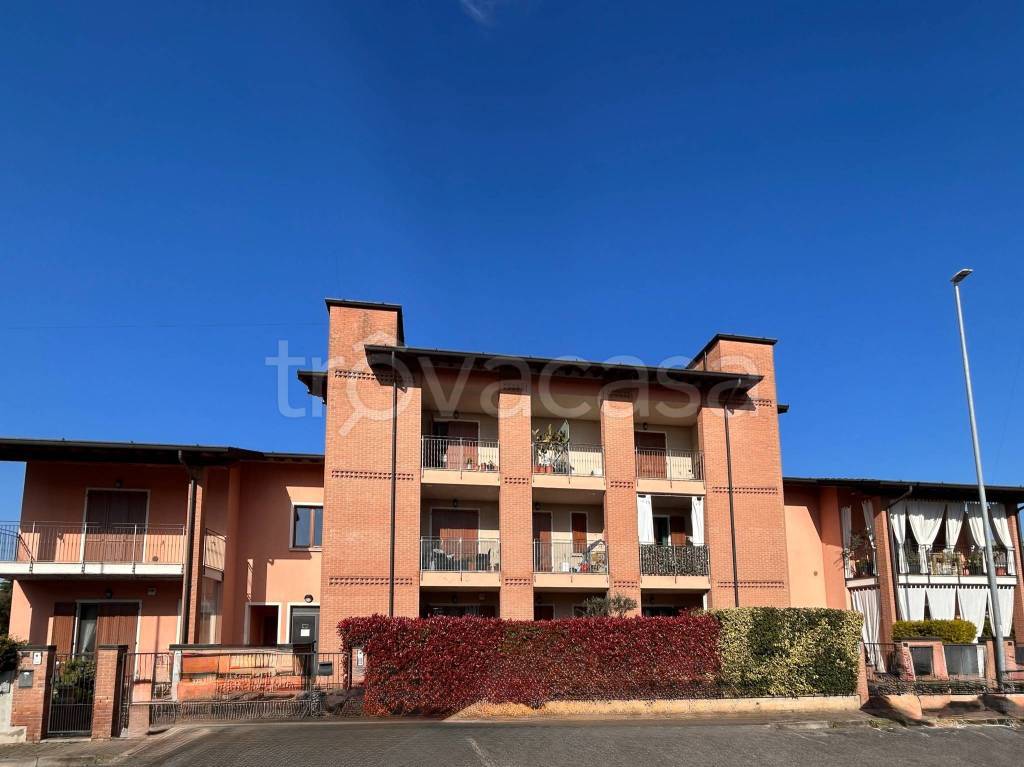 immagine annuncio 14 di 15