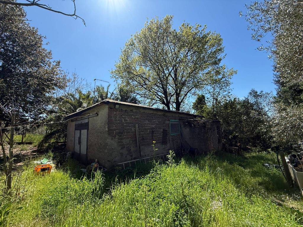 immagine annuncio 3 di 14