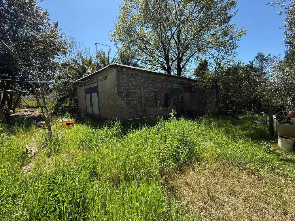 immagine annuncio 7 di 14