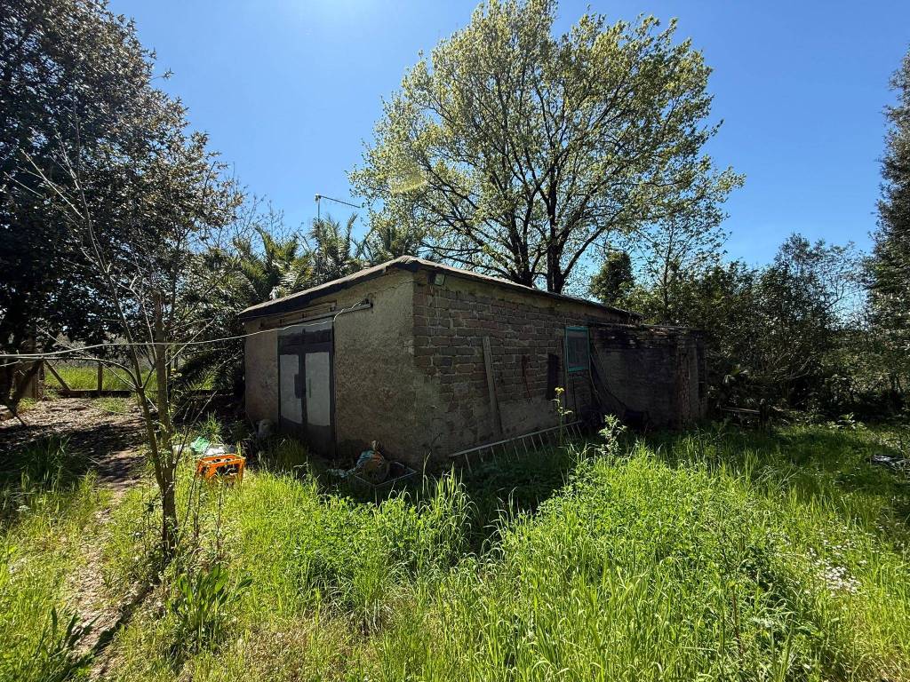 immagine annuncio 13 di 14