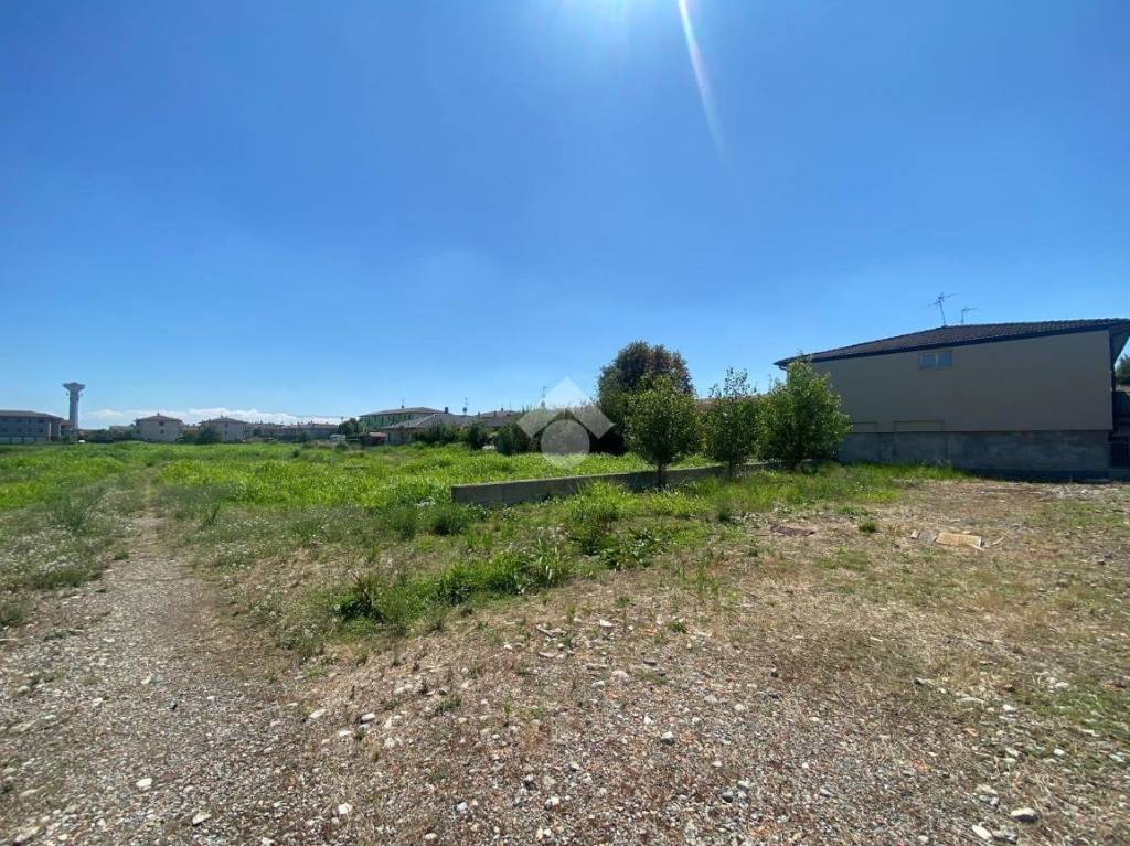 immagine annuncio 6 di 11