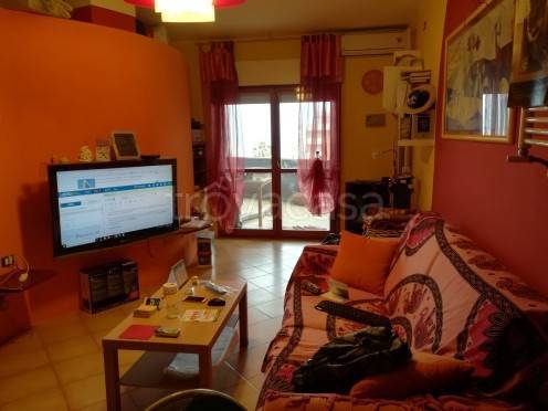 immagine annuncio 3 di 7