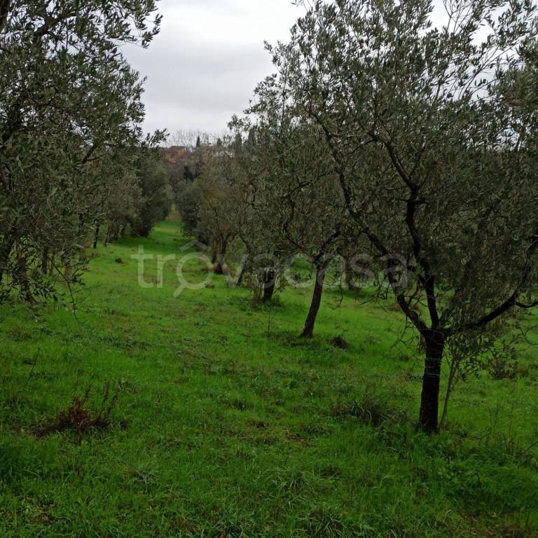 immagine annuncio 2 di 3