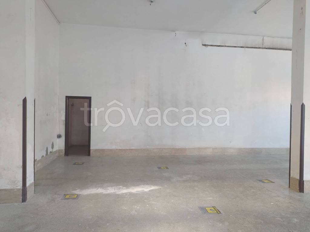 immagine annuncio 4 di 6