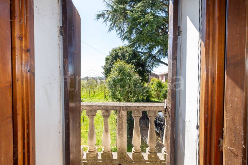 immagine annuncio 7 di 14