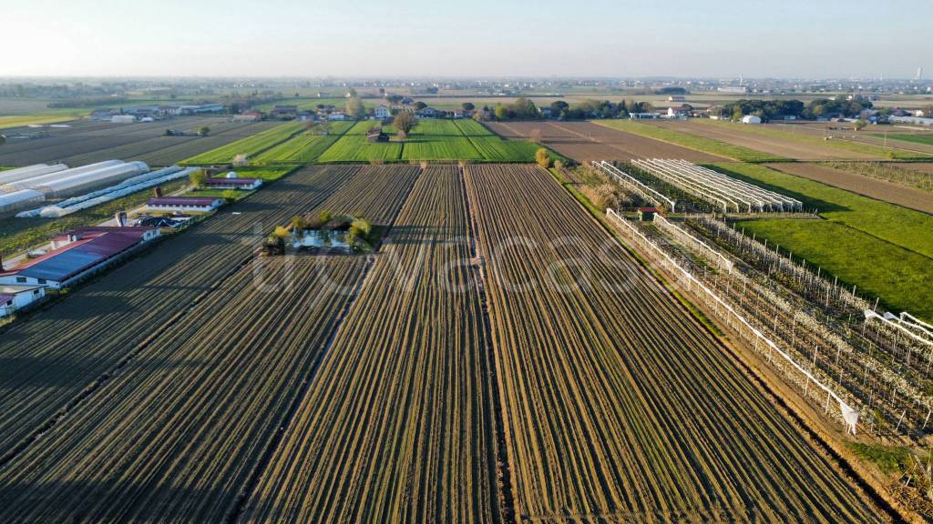 immagine annuncio 4 di 6