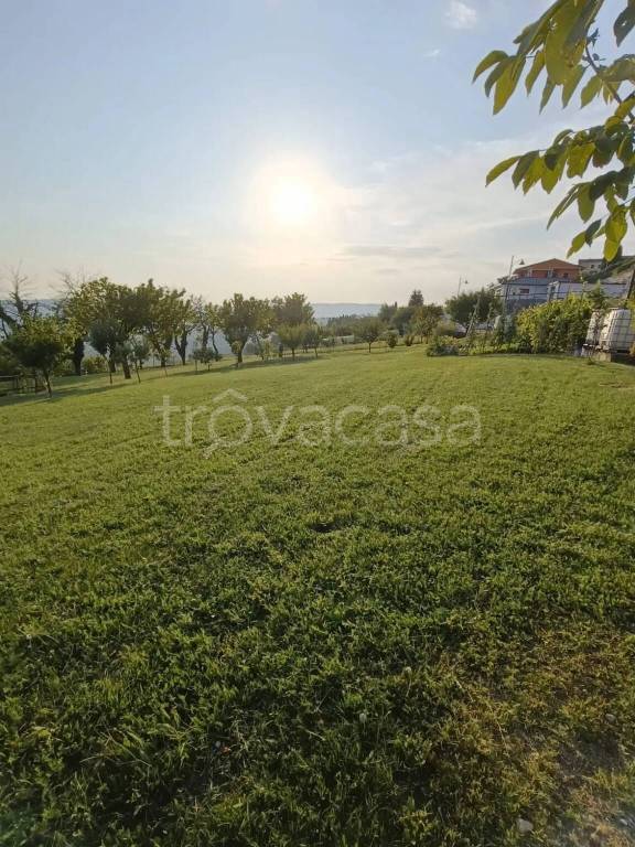 immagine annuncio 5 di 6