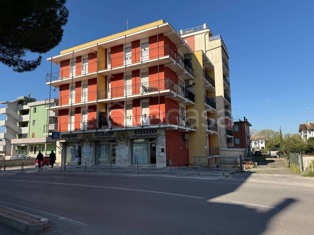 immagine annuncio 12 di 13