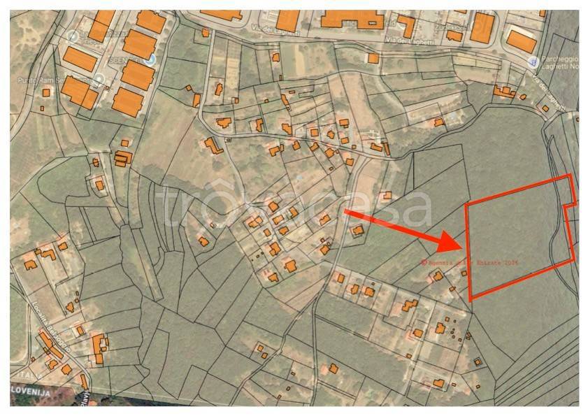 immagine annuncio 2 di 3