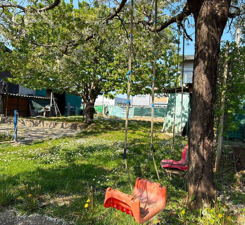 immagine annuncio 1 di 11