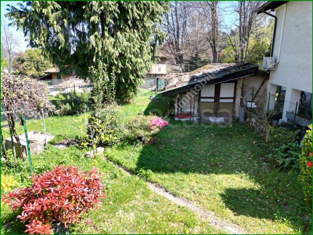 immagine annuncio 7 di 15