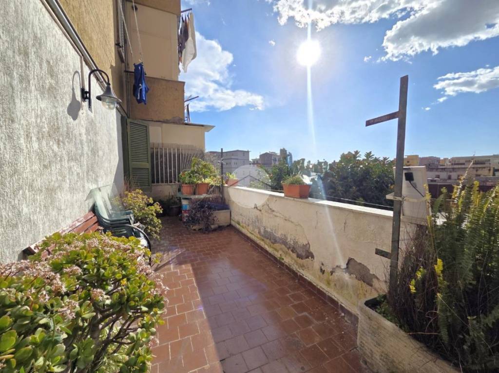 immagine annuncio 3 di 14