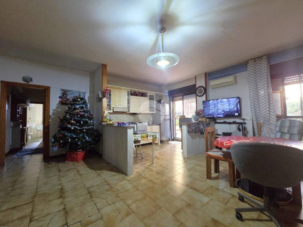 immagine annuncio 5 di 14