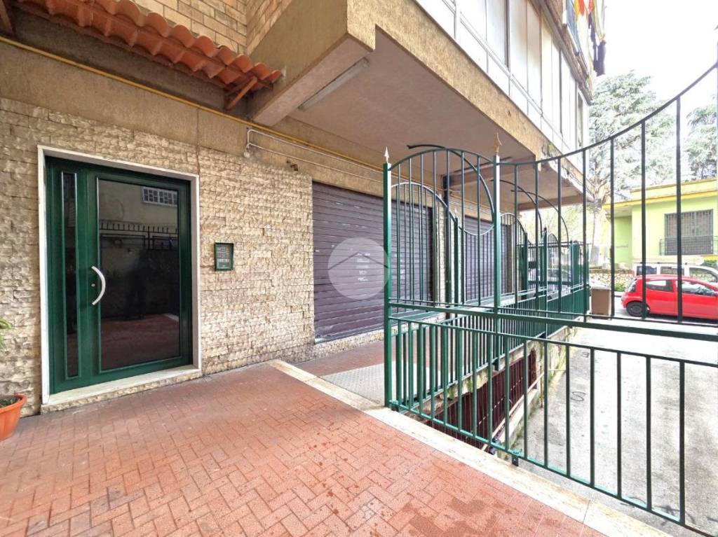 immagine annuncio 12 di 14