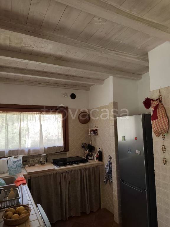 immagine annuncio 5 di 9