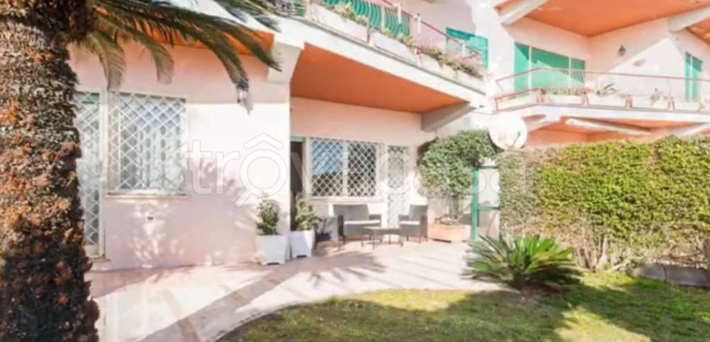 immagine annuncio 12 di 14