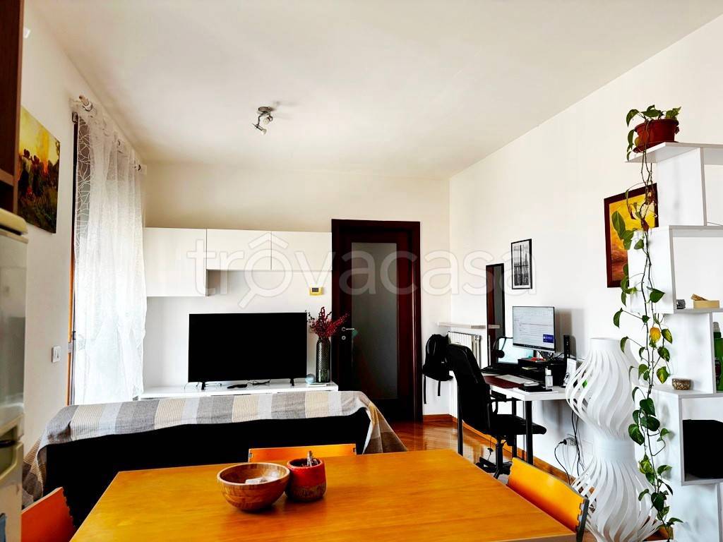 immagine annuncio 3 di 12