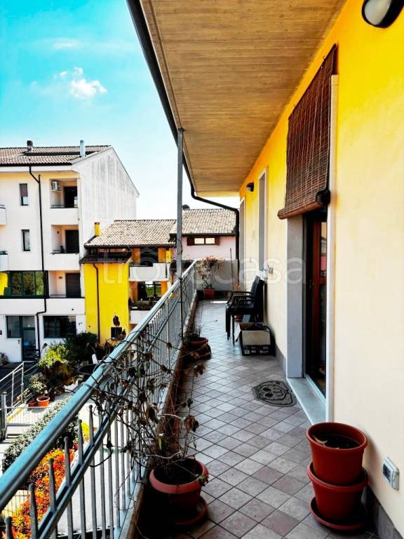 immagine annuncio 5 di 12