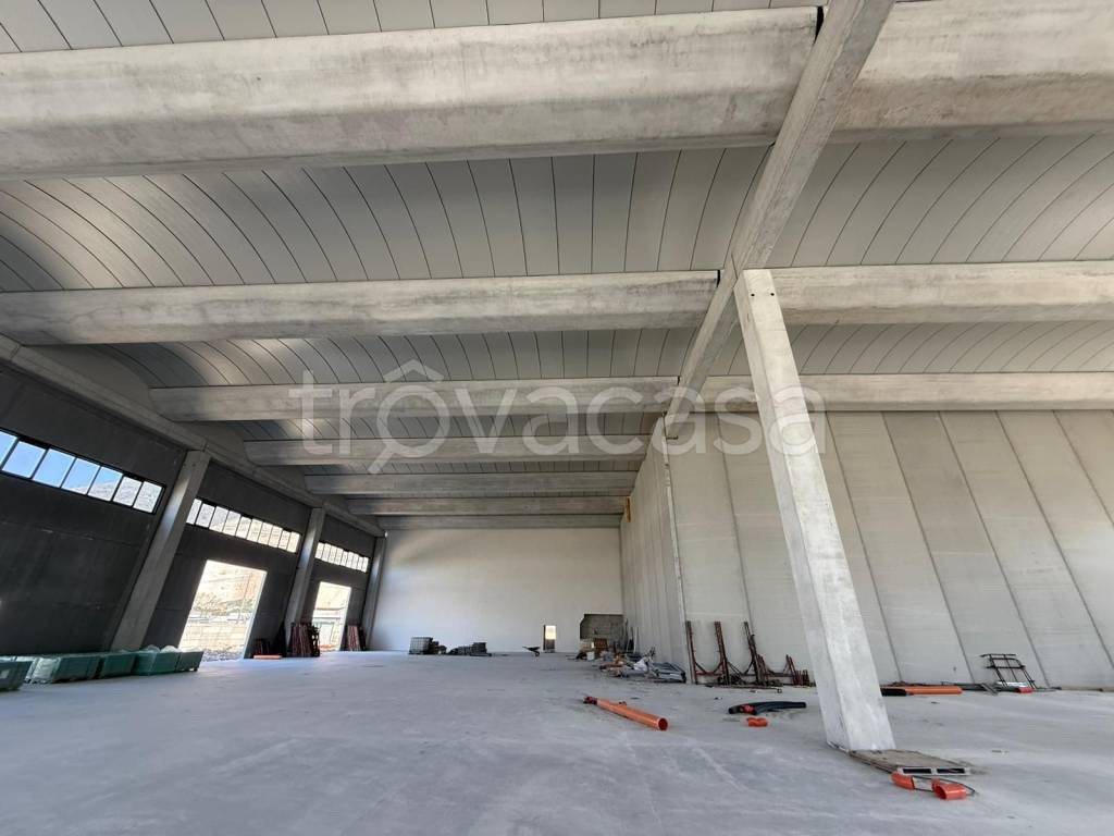 immagine annuncio 3 di 14