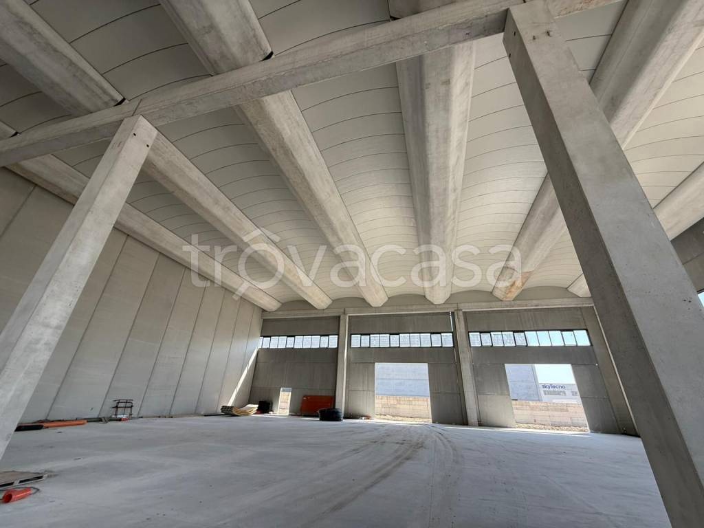 immagine annuncio 4 di 14