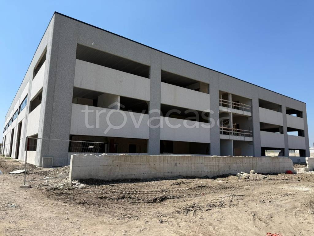 immagine annuncio 6 di 14