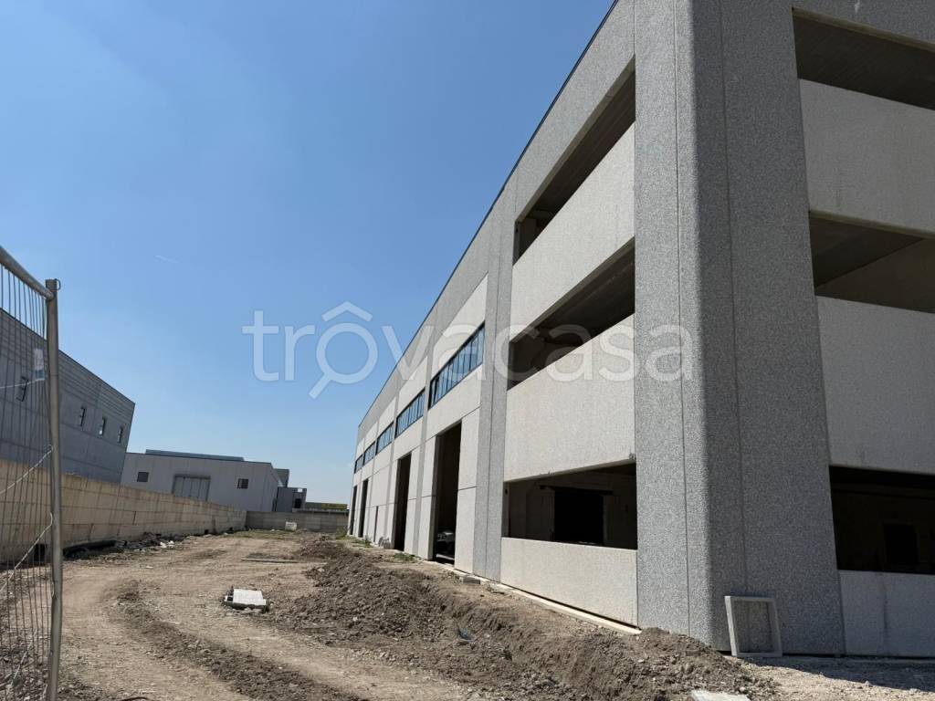 immagine annuncio 7 di 14