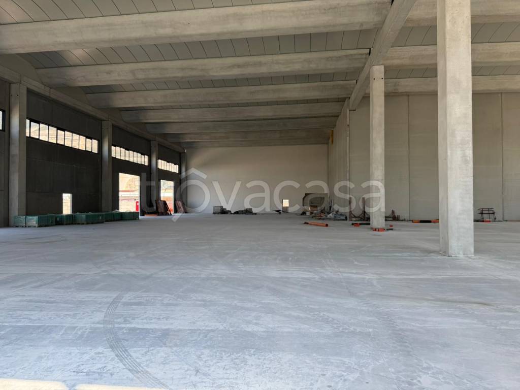 immagine annuncio 5 di 14