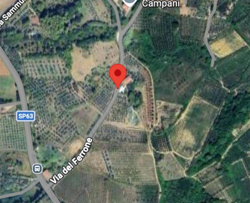 immagine annuncio 9 di 10