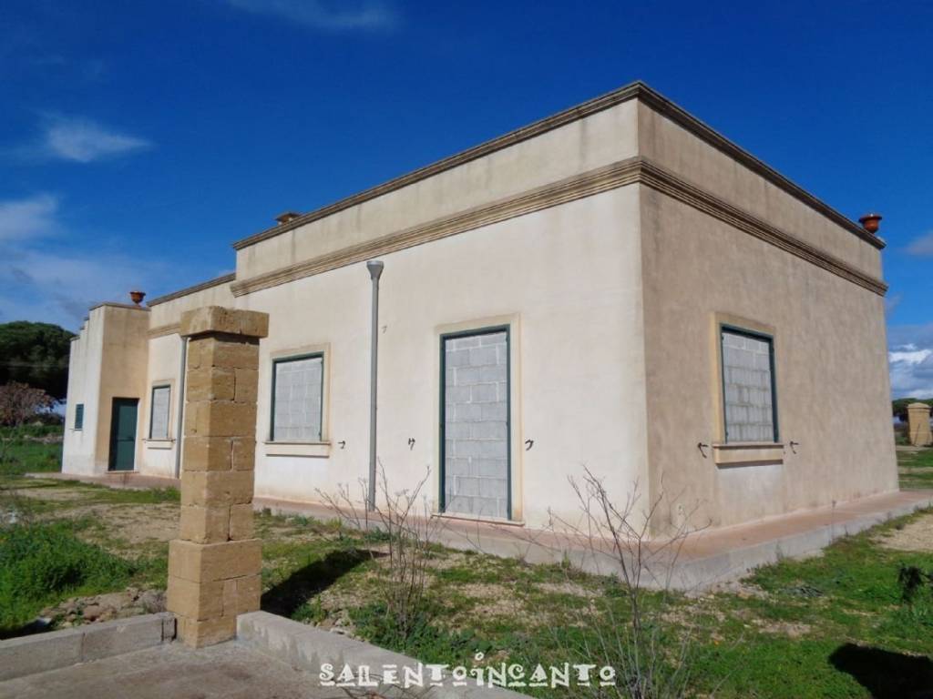 immagine annuncio 7 di 15