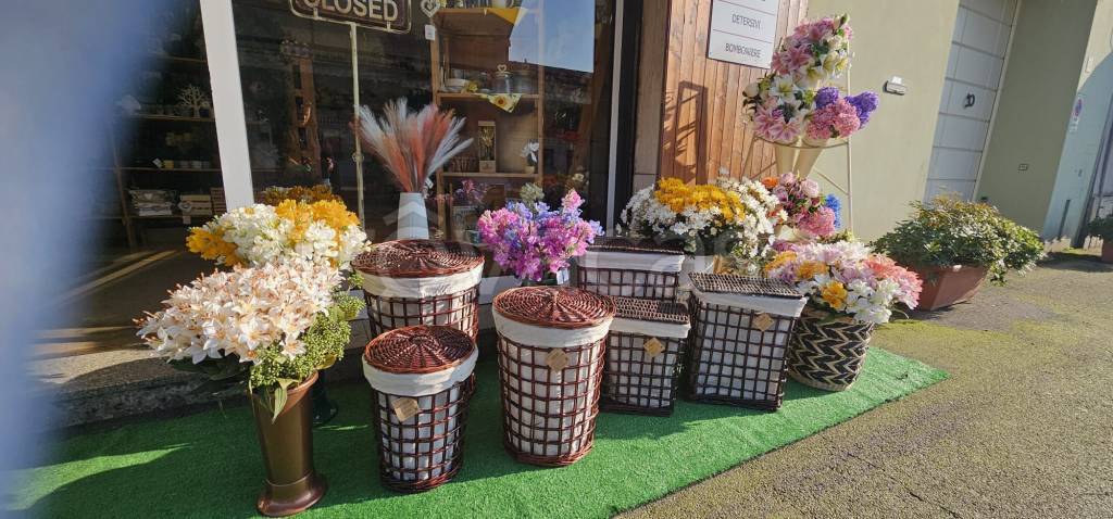 immagine annuncio 1 di 4