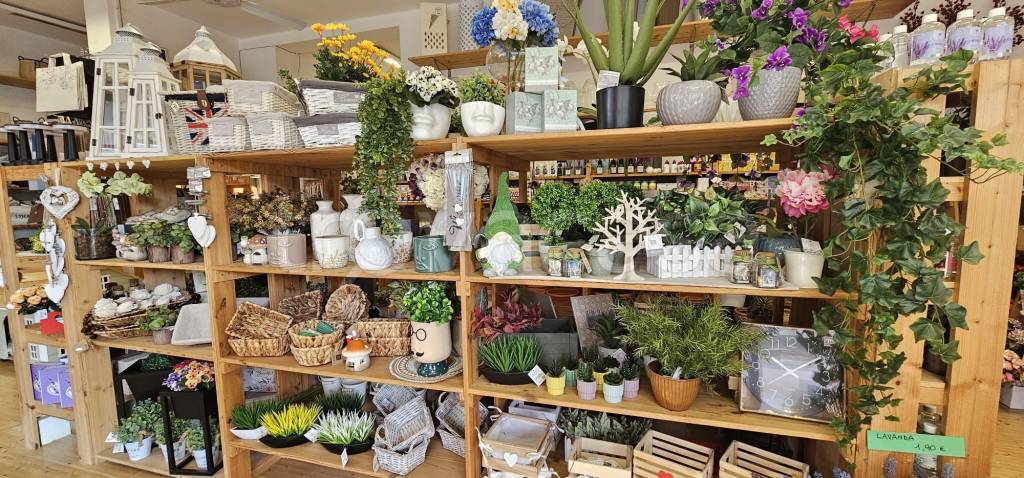 immagine annuncio 2 di 4