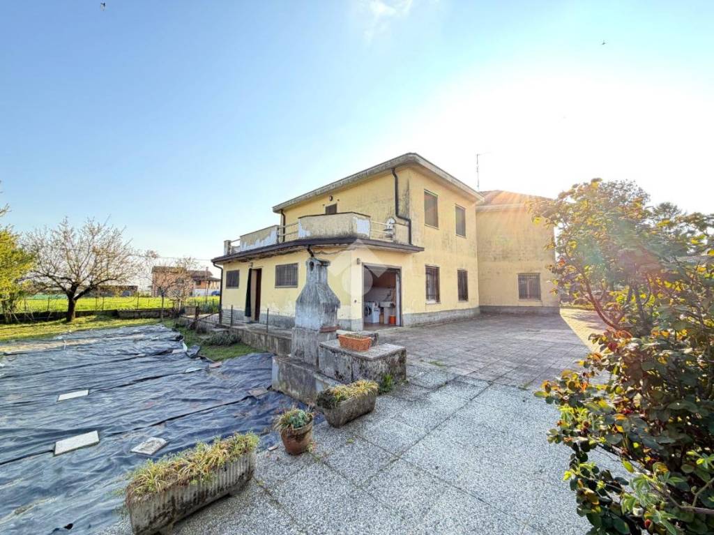 immagine annuncio 10 di 15