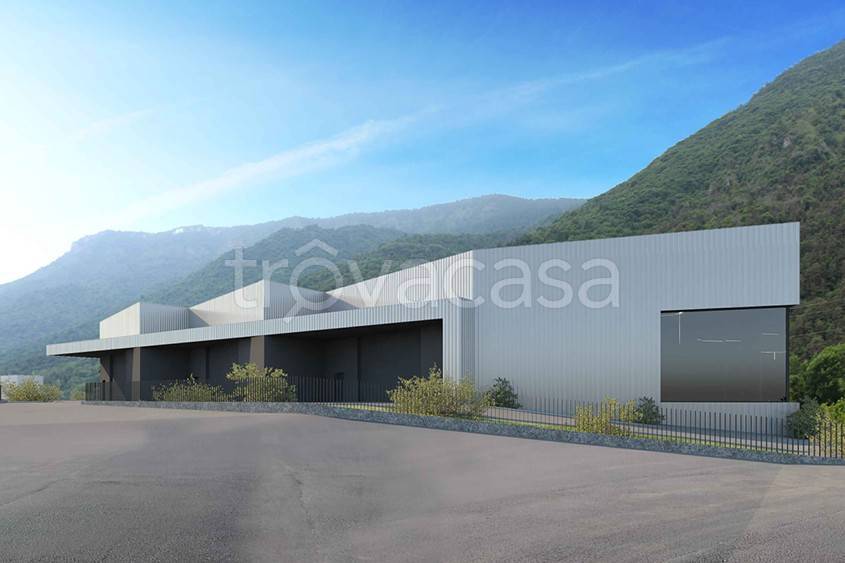 immagine annuncio 1 di 4