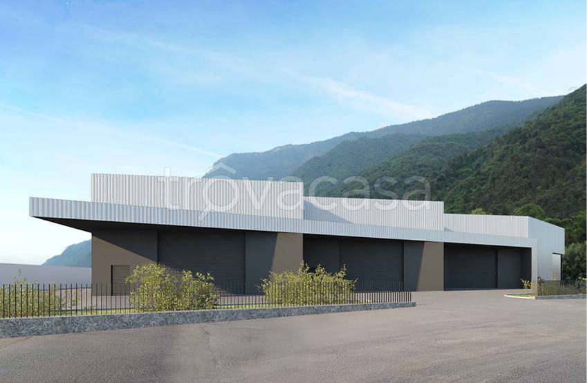 immagine annuncio 2 di 4