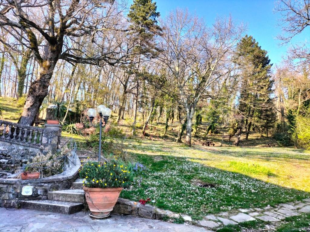 immagine annuncio 1 di 6