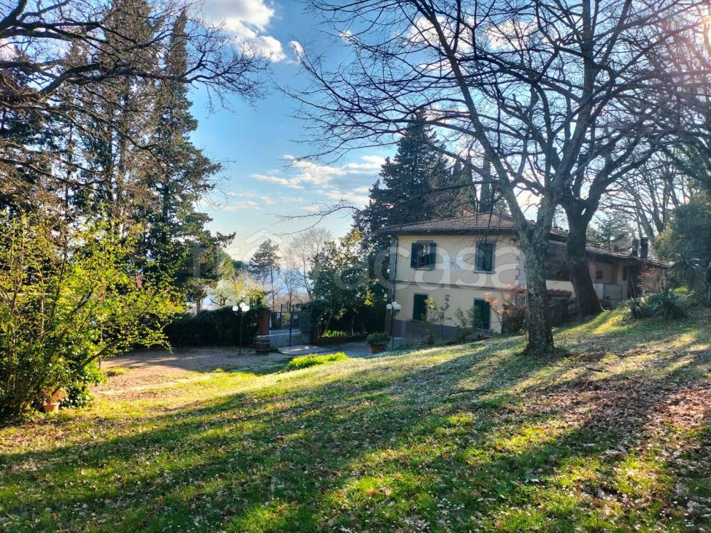 immagine annuncio 2 di 6