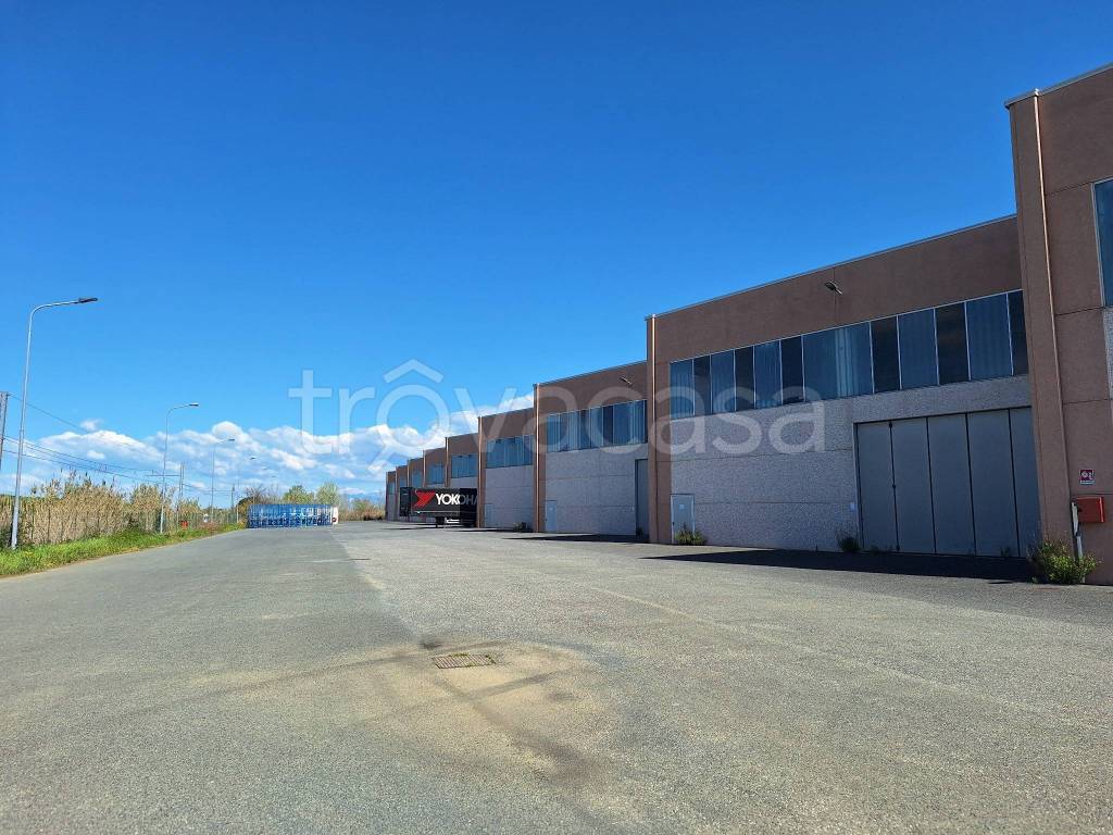 immagine annuncio 1 di 14