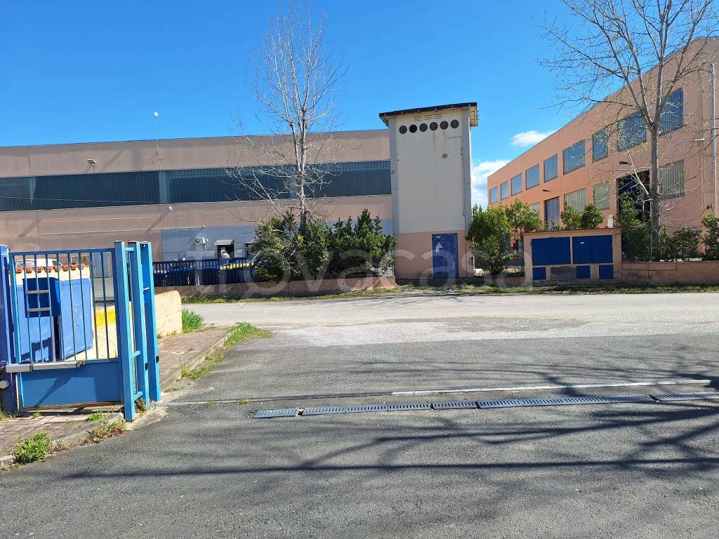 immagine annuncio 6 di 14