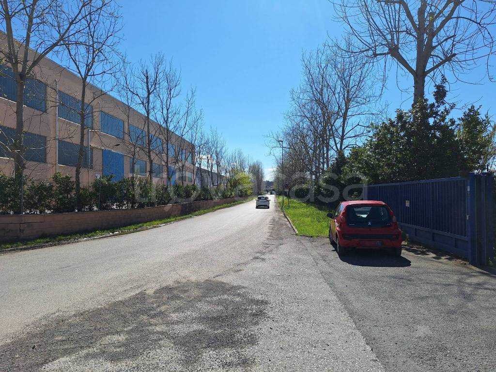 immagine annuncio 7 di 14