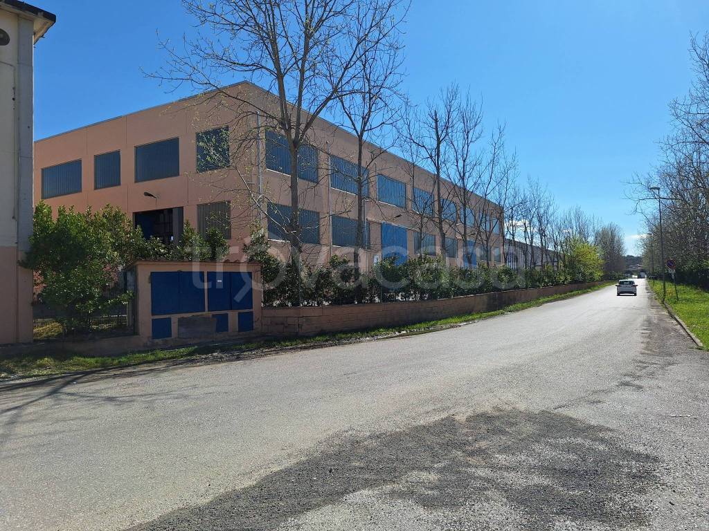 immagine annuncio 8 di 14