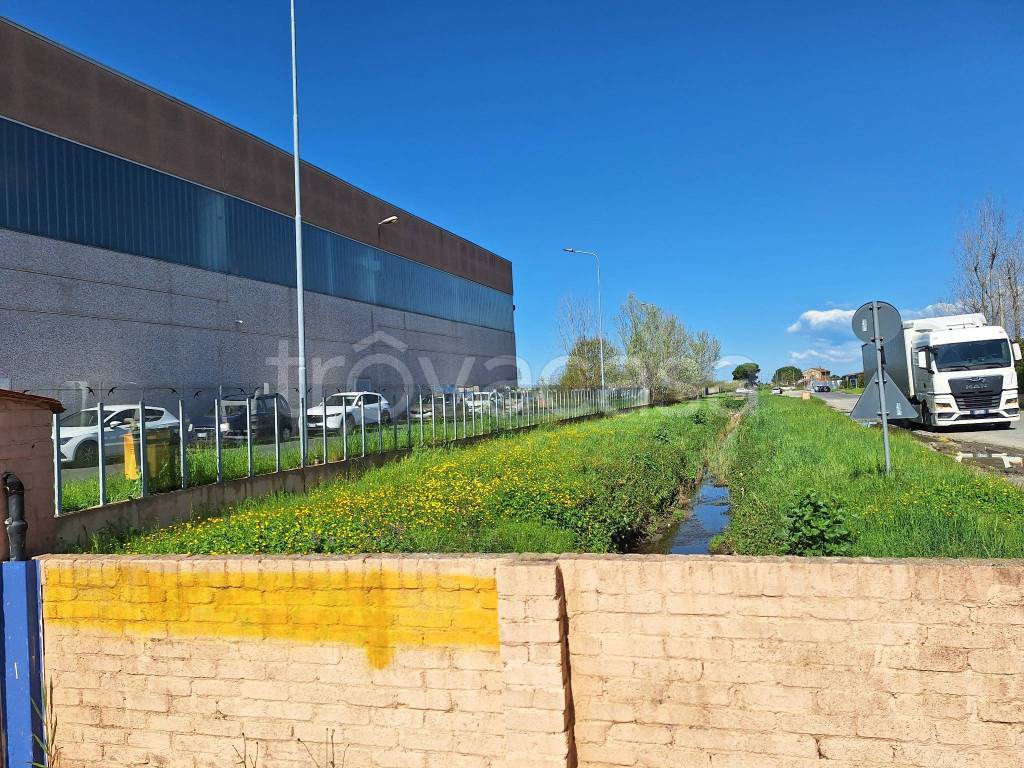 immagine annuncio 9 di 14